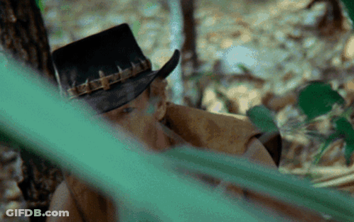 A Man Wearing A Cowboy Hat Is Looking Through A Green Leaf GIF