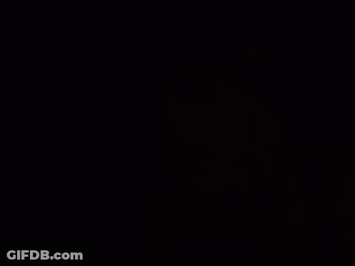 A Man Wearing A Fur Coat And A Necklace Looks At The Camera GIF