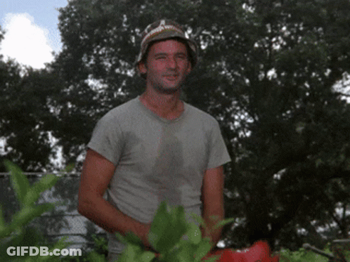 A Man Wearing A Hat And A Gray Shirt Is Standing In A Garden GIF