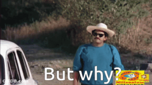 A Man Wearing A Hat And Sunglasses Is Standing Next To A Car With The Words But Why On The Bottom GIF