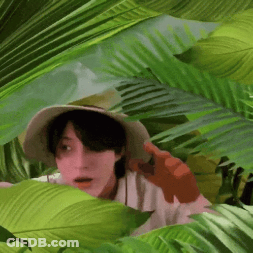 A Man Wearing A Hat Is Peeking Out From Behind A Palm Tree . GIF