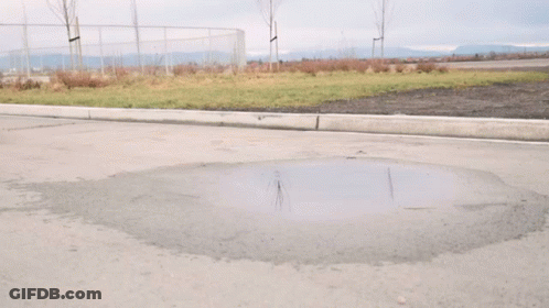 A Man Wearing A Hat With The Letter S On It Is Falling Off His Skateboard GIF