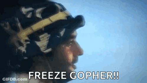 A Man Wearing A Helmet And Goggles Is Screaming Freeze Gopher . GIF