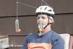A Man Wearing A Helmet With A Bird Feeder Attached To It . GIF