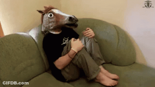 A Man Wearing A Horse Head Mask Sits On A Couch GIF