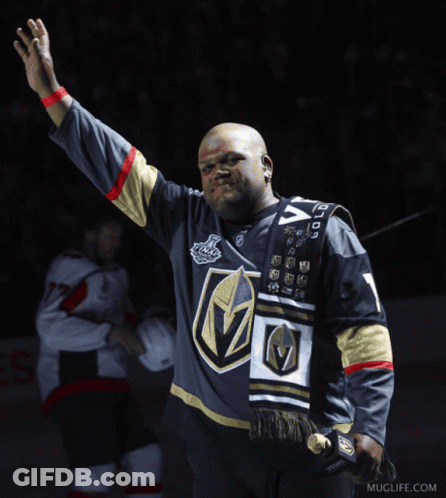 A Man Wearing A Jersey That Says " Go Knights Go " GIF