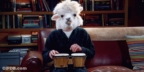 A Man Wearing A Llama Mask Is Playing Bongos GIF