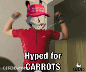 A Man Wearing A Make Nft Great Again Hat Flexes His Muscles And Says Hyped For Carrots GIF
