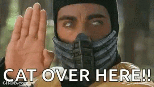 A Man Wearing A Mask Is Giving A High Five And Says `` Cat Over Here '' . GIF
