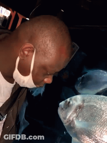 A Man Wearing A Mask Looks At A Fish In A Tank GIF
