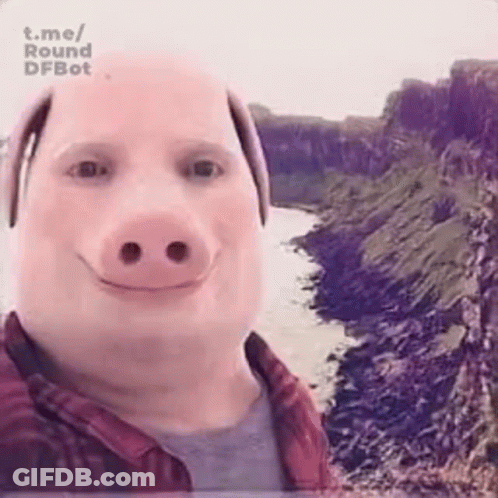 A Man Wearing A Pig Mask Is Taking A Selfie . GIF