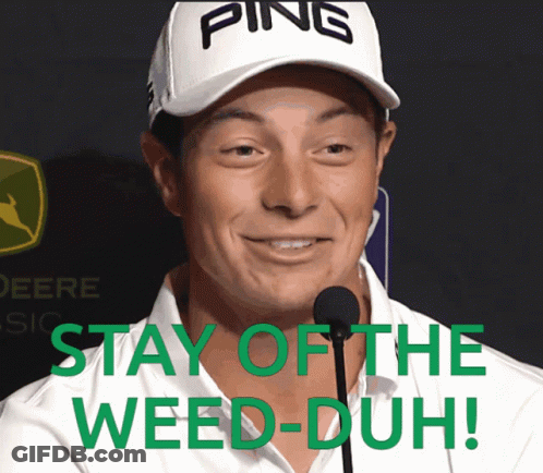 A Man Wearing A Ping Hat Says Stay Of The Weed Duh GIF