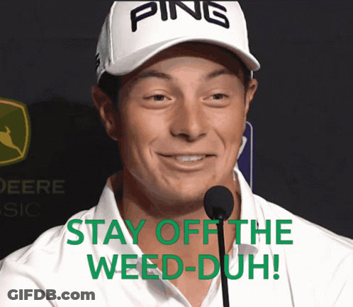 A Man Wearing A Ping Hat Says " Stay Off The Weed-Duh " GIF