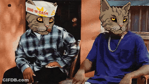 A Man Wearing A Plaid Shirt Sits Next To A Cat With A Dine-N-Dash Hat On GIF