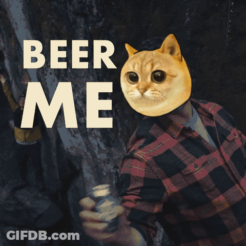 A Man Wearing A Plaid Shirt With A Cat Head And The Words Beer Me GIF