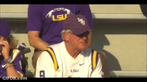 A Man Wearing A Purple And White Lsu Jersey Sits In The Stands GIF
