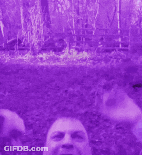A Man Wearing A Purple And Yellow Vest With A Tie GIF