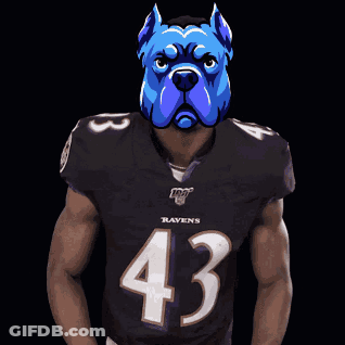 A Man Wearing A Ravens Jersey With A Blue Dog Mask On His Head GIF