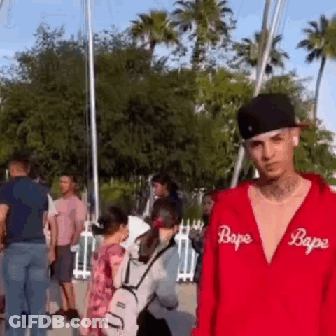 A Man Wearing A Red Bape Hoodie And A Black Hat Is Standing In Front Of A Crowd Of People . GIF