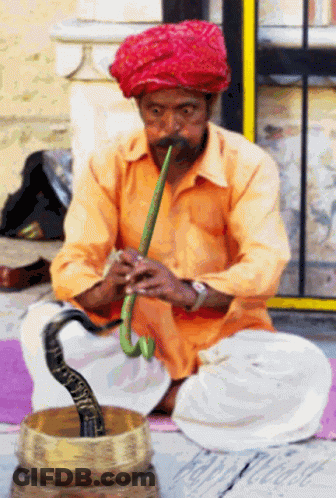 A Man Wearing A Red Turban Is Playing A Flute With A Snake In The Background GIF