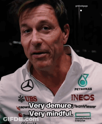 A Man Wearing A Shirt That Says ' Very Demure Very Mindful ' On It GIF