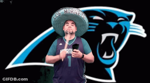 A Man Wearing A Sombrero And A Hornets Jersey Holds A Phone In Front Of A Panthers Logo GIF