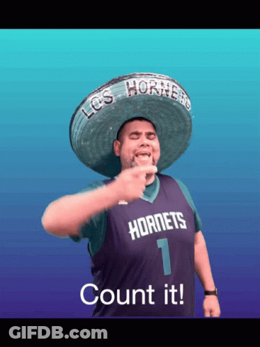 A Man Wearing A Sombrero And A Hornets Jersey Points GIF