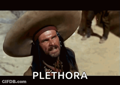A Man Wearing A Sombrero Says Plethora In A Movie Scene GIF