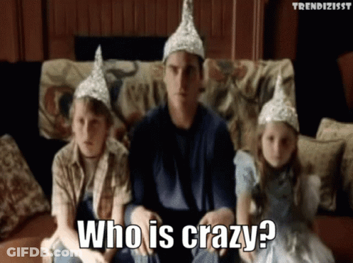 A Man Wearing A Tin Foil Hat Is Sitting On A Couch With Two Children And Says " Who Is Crazy " GIF