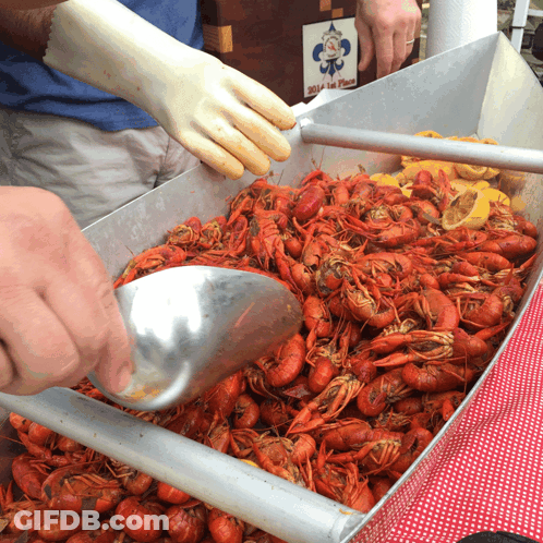 A Man Wearing A White Glove Is Scooping Crawfish From A Bucket GIF