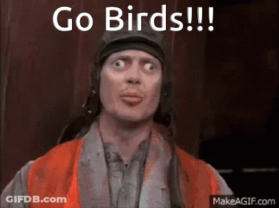 A Man Wearing An Orange Vest And A Hat Is Saying Go Birds GIF