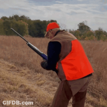 A Man Wearing An Orange Vest Is Holding A Shotgun In A Field GIF