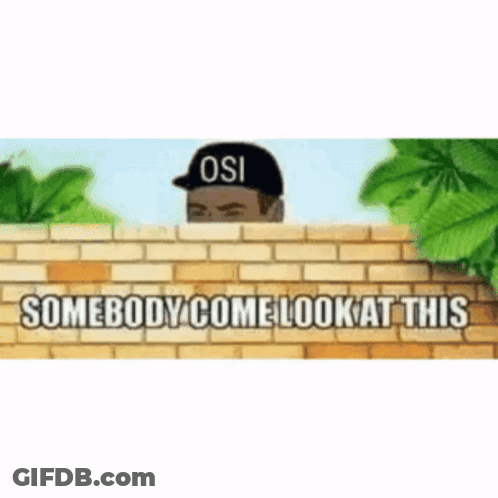 Man Wearing OSI Hat Peeking Over Brick Wall Says Somebody Come Look GIF