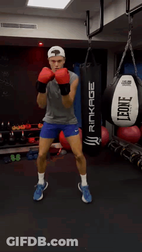 A Man Wearing Boxing Gloves And A Leone Punching Bag GIF