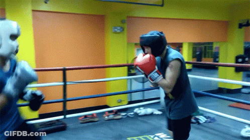 A Man Wearing Everlast Boxing Gloves Is In The Ring GIF
