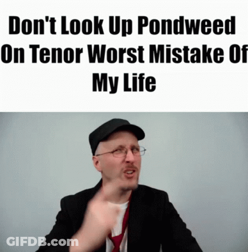 A Man Wearing Glasses And A Hat Says " Do N't Look Up Pondweed On Tener Worst Mistake Of My Life " GIF