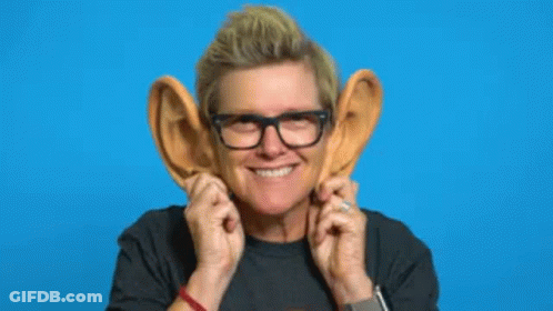 A Man Wearing Glasses Has Fake Ears In Front Of His Face GIF