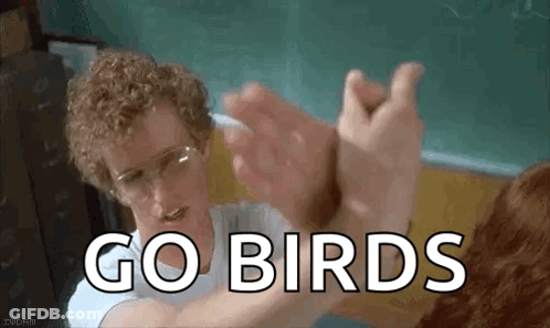 A Man Wearing Glasses Is Giving A High Five To A Dog And The Words `` Go Birds '' Are Written On The Screen . GIF