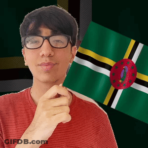 A Man Wearing Glasses Is Holding A Small Flag In Front Of Him GIF