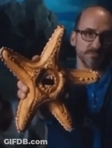 A Man Wearing Glasses Is Holding A Starfish In His Hands GIF