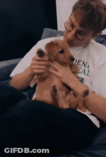 A Man Wearing Glasses Is Petting A Small Brown Dog GIF