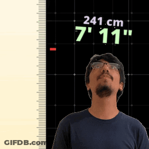 A Man Wearing Glasses Stands In Front Of A Ruler That Says 241 Cm 7'11 " GIF