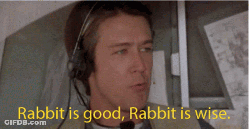 A Man Wearing Headphones Says Rabbit Is Good And Rabbit Is Wise GIF