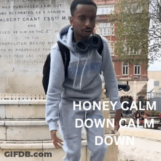 A Man Wearing Headphones Stands In Front Of A Monument That Says " Honey Calm Down Calm Down " GIF