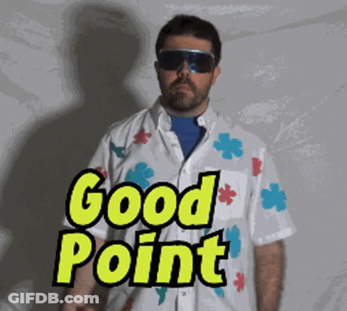 A Man Wearing Sunglasses And A Shirt That Says Good Point On It GIF