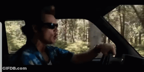 A Man Wearing Sunglasses Is Driving Through The Woods GIF
