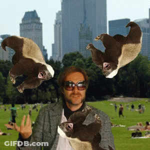 Man With Sunglasses Holding Flying Squirrels GIF
