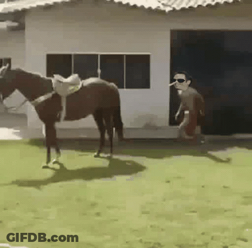A Man Wearing Sunglasses Is Standing Next To A Horse In Front Of A House . GIF