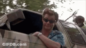 A Man Wearing Sunglasses Is Sticking His Head Out Of A Car Window . GIF