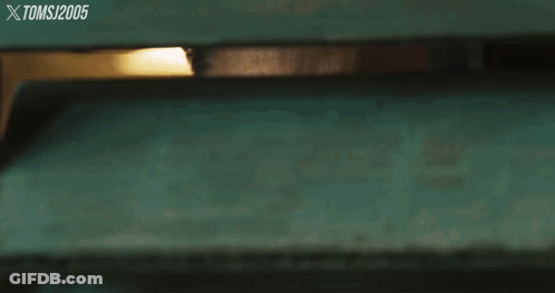 A Man Wearing Sunglasses Looks Through A Green Fence With The Year 2005 On The Bottom Right GIF